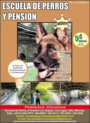 Escuela de Perros y Pensión Los Teques